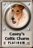 Casey's Celtic Charm Platinum Award